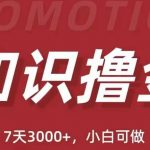 “抖音知识撸金项目：简单粗暴日入1000+执行力强当天见收益(教程+资料)