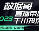 数据哥2023直播电商巨量千川付费投流实操课，快速掌握直播带货运营投放策略