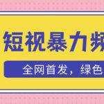 外面收费1680的短视频暴力撸金，日入300+长期可做，赠自动收款平台