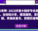 023抖音小程序专业变现课，含经验分享、爆发趋势、变现逻辑、养高权重号、剪辑实操等