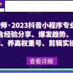 023抖音小程序专业变现课，含经验分享、爆发趋势、变现逻辑、养高权重号、剪辑实操等