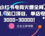 2023小红书电商火爆全网，新晋红利，风口项目，单店收益在3000-30000！