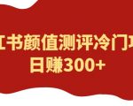 外面1980的项目，小红书颜值测评冷门项目，日赚300+【揭秘】