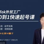 TikTok外贸快速起号课，​方向认知，起号宝典，账号运营，视频拍摄