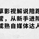 野草影视解说陪跑训练营，从新手进阶到成熟自媒体达人