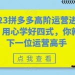 2023拼多多高阶运营进阶篇，用心学好四式，你就是下一位运营高手