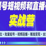 2023最新微信视频号引流和变现全套运营实战课程，小白也能玩转视频号短视频和直播运营