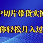 蹭这个IP切片带货实操版，让你轻松月入过万（教程+素材）