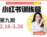 小红书训练营第9期（花生的书桌）：7天定位实战+7天爆款拆解实战，21天爆款笔记实操