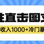 2023最新冷门暴利赚钱项目，人性直击图文号，日收入1000+【揭秘】