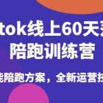 Tiktok线上60天落地陪跑训练营，独家赋能陪跑方案，全新运营技巧干货”