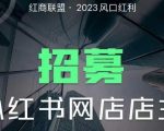 小红书无货源电商1.0系列课程