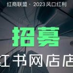 小红书无货源电商1.0系列课程