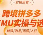 跨境拼多多TEMU实操与选品，​趋势/选品/运营/入住（27节完整）