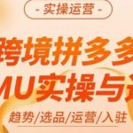 跨境拼多多TEMU实操与选品，​趋势/选品/运营/入住（27节完整）