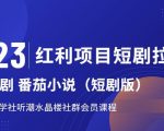 2023红利项目短剧拉新，听潮阁学社月入过万红果短剧番茄小说CPA拉新项目教程【揭秘】