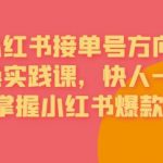 接单号方向·小红书微操实践课，快人一步，提前掌握小红书爆款玩法