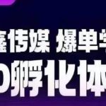 爆单学院8.0孵化体系，让80%以上达人都能运营一个稳定变现的账号，操作简单，一部手机就能做