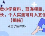 小红书卖小学资料，蓝海项目，红利期长，个人实测可月入五位【揭秘】”