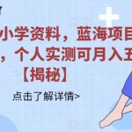 小红书卖小学资料，蓝海项目，红利期长，个人实测可月入五位【揭秘】”