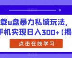 车载u盘暴力私域玩法，一部手机实现日入300+【揭秘】