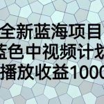 全新蓝海项目，蓝色中视频计划，1W播放量1000+【揭秘】