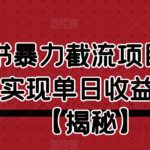 “小红书暴力截流项目，新手快速实现单日收益二三百【仅揭秘】” />