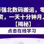 冷门华强北数码搬运，零风险，零投资，一天十分钟月入1W+【揭秘】