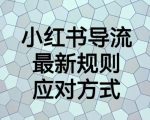 小红书导流最新规则应对方式【揭秘】