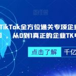 TikTok全方位通关专项企业陪跑【第三期】，从0到1真正的企业TK电商运营全流程