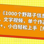 最新《1000个野路子信息差》玩法，文字视频，单个作品暴粉5000+，小白轻松上手【揭秘】