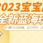 2023宝宝起名全新蓝海玩法，冷门暴力小白实操，日入1000+（全套教程）【揭秘】