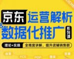 京东运营解析与数据化推广系列课，全维度讲解京东运营逻辑+数据化推广提升店铺销售额