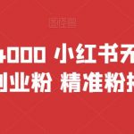 首发价值4000 小红书无限艾特暴力引流创业粉 精准粉揭秘教程”