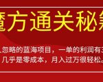 被人忽略的蓝海项目，魔方通关秘籍，一单的利润有39.9，几乎是零成本，月入过万很轻松【揭秘】