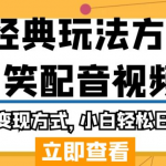 毁经典玩法方言搞笑配音视频，多种变现方式，小白轻松日入500+