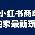 小红书商单最新独家玩法，剪辑时间短，剪辑难度低，能批量做号【揭秘】