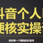 个人IP创富系统实战课，商业定位，流量打造，短视频变现，教你做个赚钱的抖音号