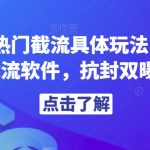 解析当前热门截流具体玩法，附赠全新快手截流软件，抗封双曝光脚本【揭秘】