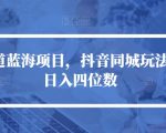 冷门赛道蓝海项目，抖音同城玩法，轻松日入四位数【揭秘】