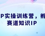 知识IP实操训练营，​孵化多赛道知识IP”