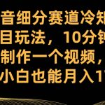 抖音细分赛道冷知识项目玩法，10分钟快速制作一个视频，新手小白也能月入1W+【揭秘】