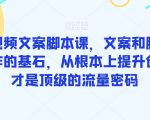 爆款短视频文案脚本课，文案和脚本是短视频创作的基石，从根本上提升创作能力才是顶级的流量密码