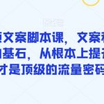 爆款短视频文案脚本课，文案和脚本是短视频创作的基石，从根本上提升创作能力才是顶级的流量密码