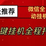 最新微信挂机躺赚项目，每天日入20—50，微信越多收入越多【揭秘】