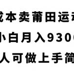 零成本卖莆田运动鞋，小白月入9300，人人可做上手简单【揭秘】