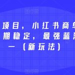 2023蓝海项目，小红书商单，快速千粉，长期稳定，最强蓝海没有之一（新玩法）