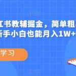 热门蓝海，小红书教辅掘金，简单粗暴无需剪辑，新手小白也能月入1W+【揭秘】