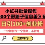 小红书批量操作《1000个野路子信息差》玩法，一分钟制作一个图文，不封号，日引100+创业粉”