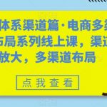 8大体系渠道篇·电商多渠道布局系列线上课，渠道放大，多渠道布局